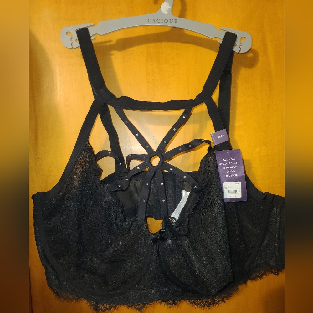 Lane bryant lingerie set. Size 3x/48DD. Nwt. - Picture 2 of 3